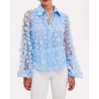 Floral Pattern Sheer Mesh Lantern Sleeve Top